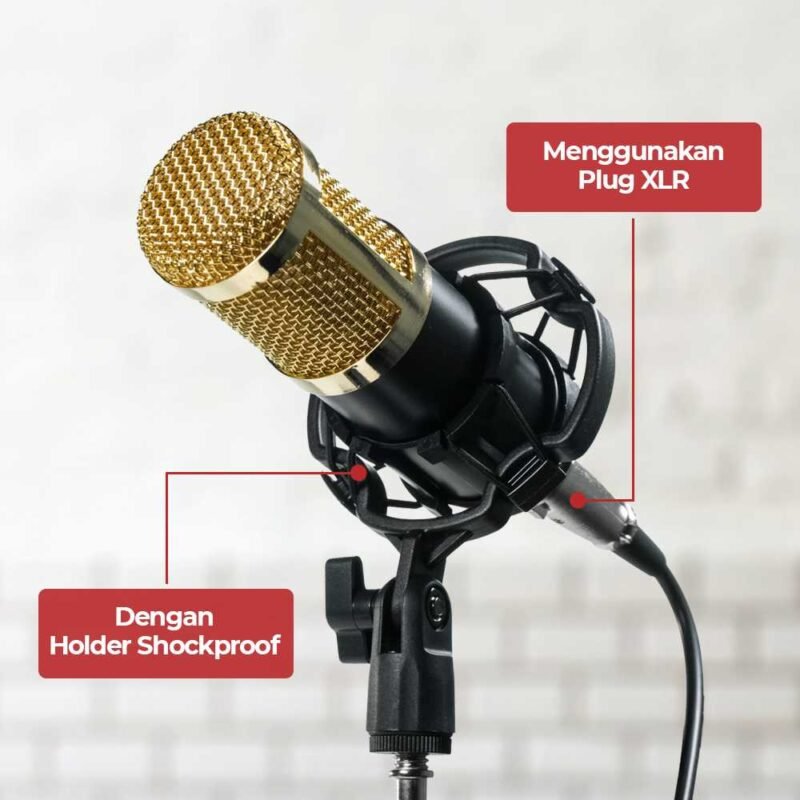 Mikrofon Kondenser XLR Condenser Mic Cardioid Studio - [MRH1] - Image 10