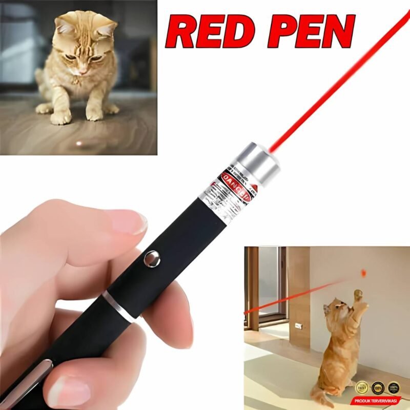 Laser Pointer Pen