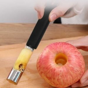 Pencabut Inti Biji Buah Seed Cutter Core Remover 2cm