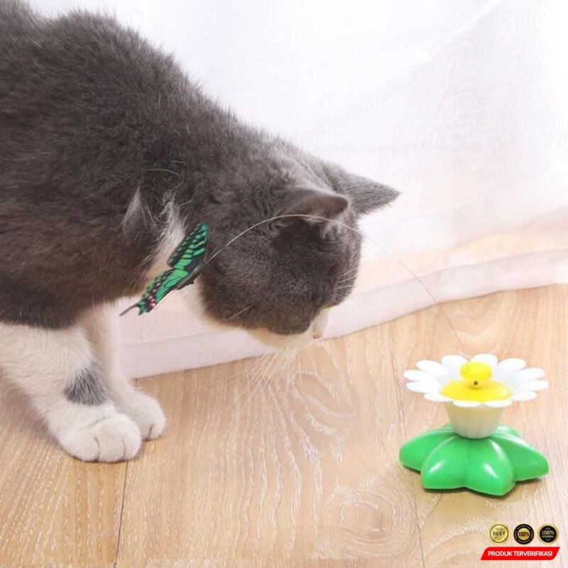 Mainan Kucing