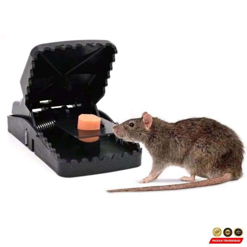 ALAT PERANGKAP TIKUS PENJEPIT MOUSE TRAP [MRH2] - Image 3