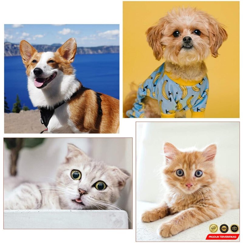 YUTOU Sisir Anjing Pembersih Mata Dua Sisi [MRH2] - Image 9