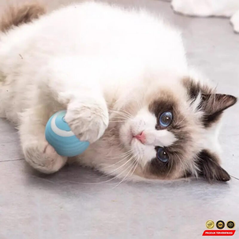 Bola Mainan Kucing Anjing Otomatis Smart Ball - Gambar 4