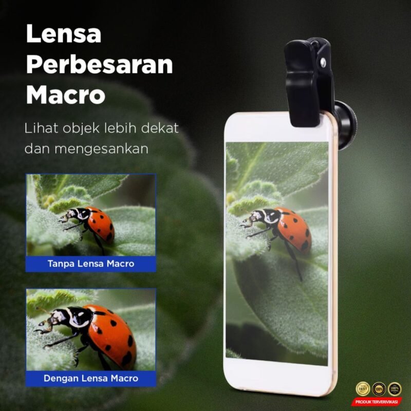 Lensa