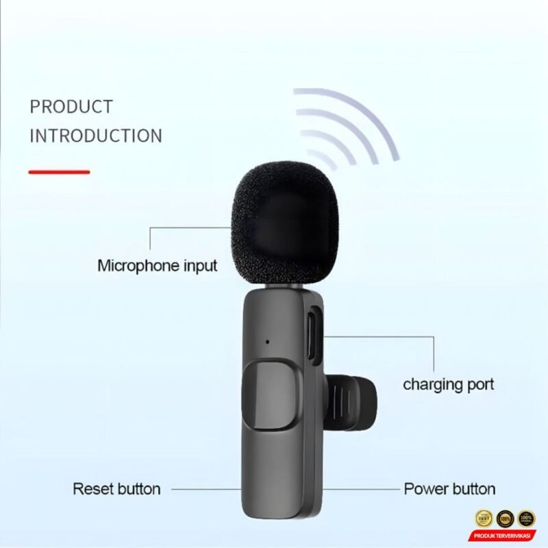 Wireless Mikrofon