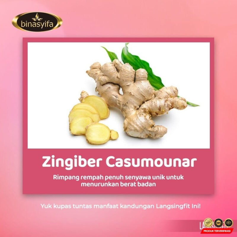 LANGSINGFIT Obat Diet Pelangsing Langsing Penurun Berat Badan Original BPOM Binasyifa Herbal - Image 5