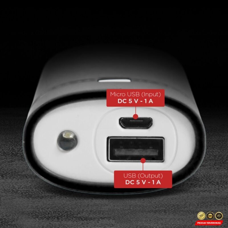 Power Bank