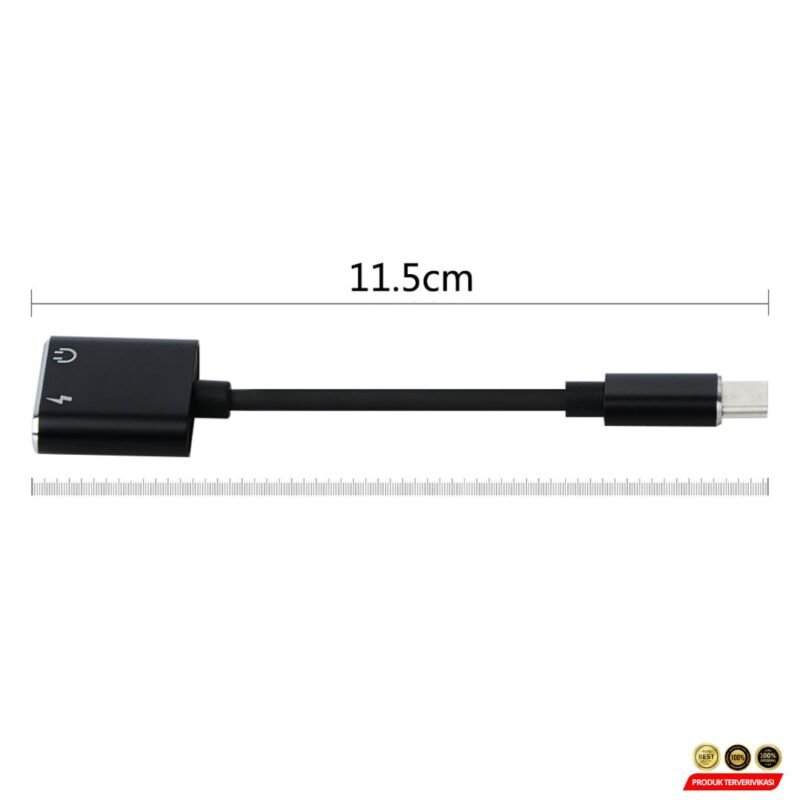 Adaptor 2in1