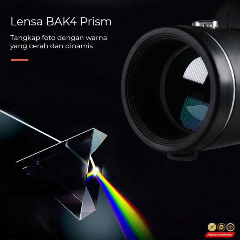 Lensa