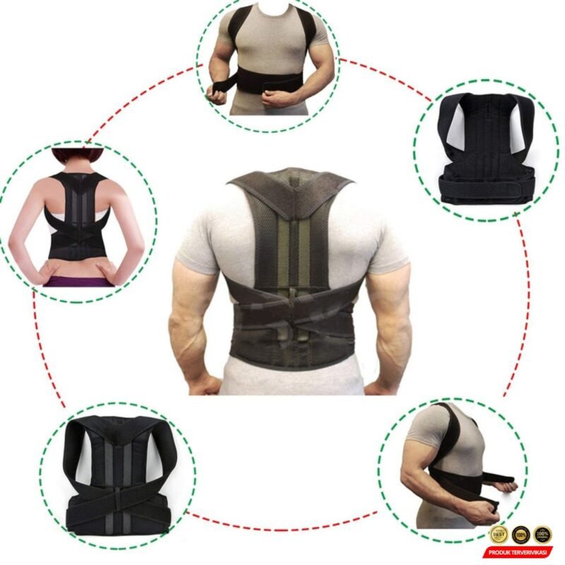 Belt Terapi