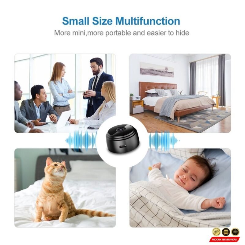 Mini WiFi IP