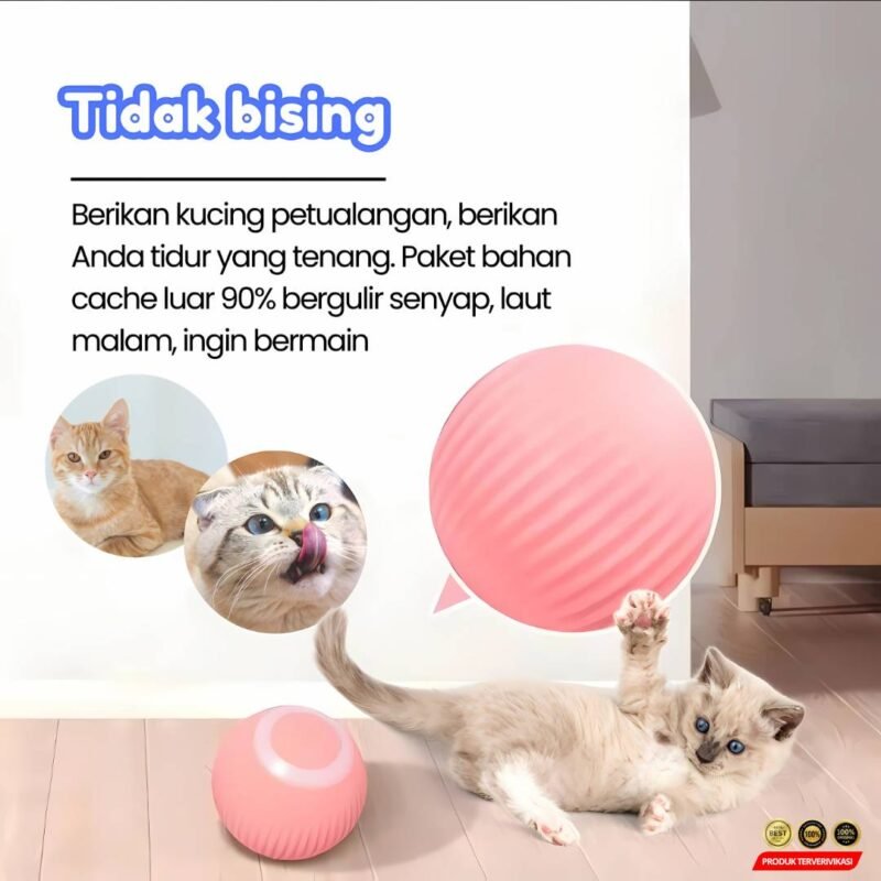 Bola Mainan Kucing