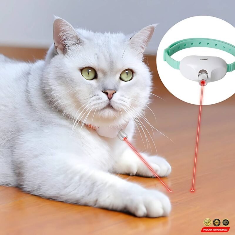 Mainan kucing Interaktif