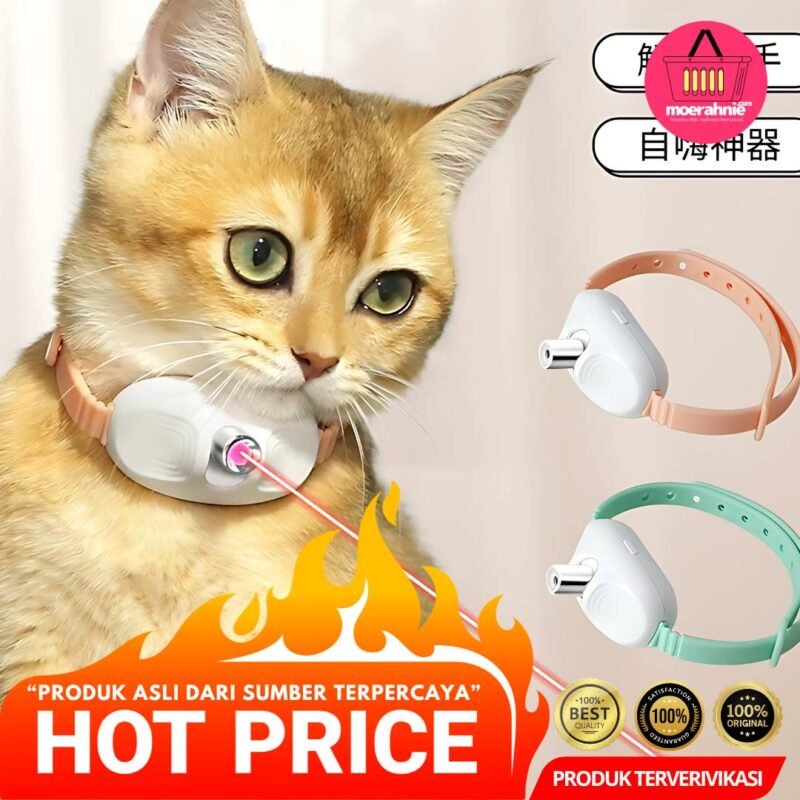 Mainan kucing Interaktif