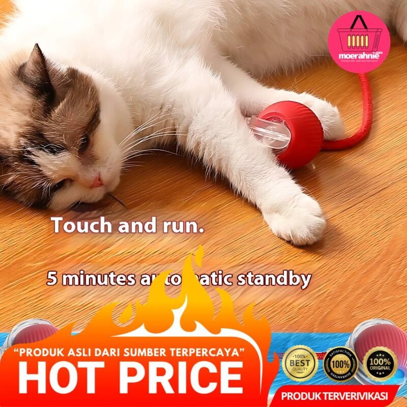 Bola Tali Kucing