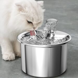 Water Dispenser Fountain