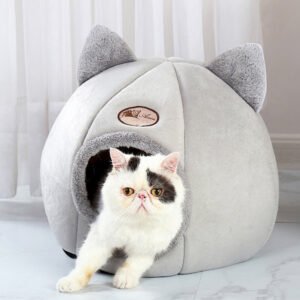 Tempat Tidur Khusus Hewan