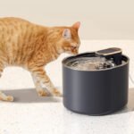 Water Dispenser Fountain