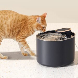 Water Dispenser Fountain