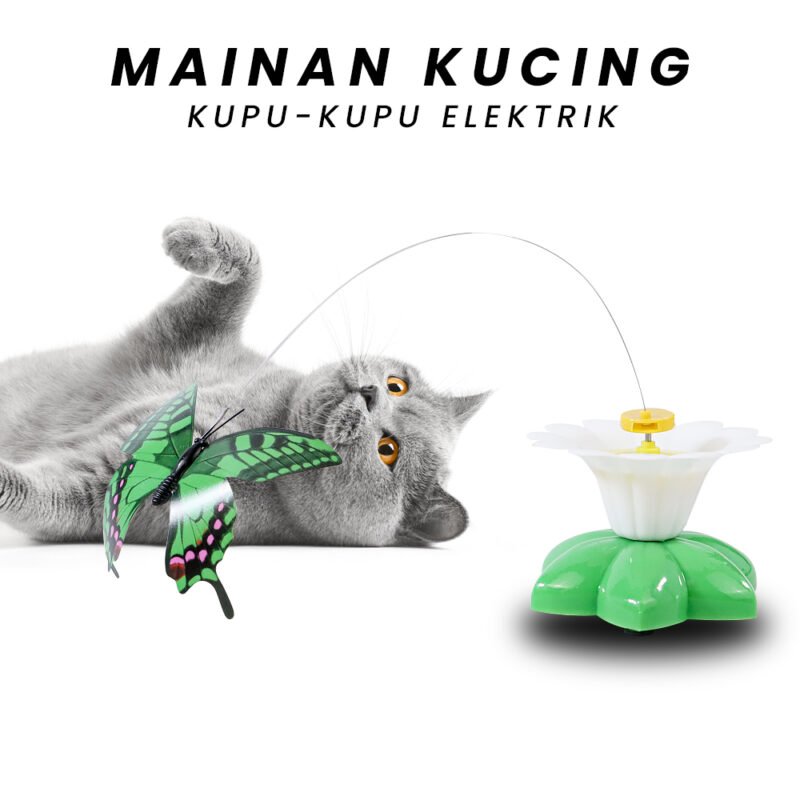 Mainan Kucing