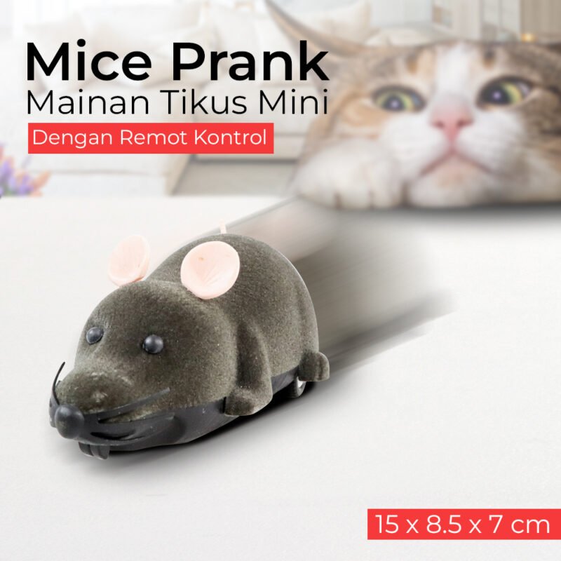 Mainan Tikus Mini
