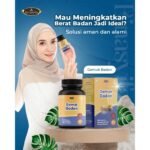 LANGSINGFIT Obat Diet Pelangsing Langsing Penurun Berat Badan Original BPOM Binasyifa Herbal
