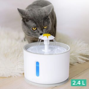 Water Dispenser