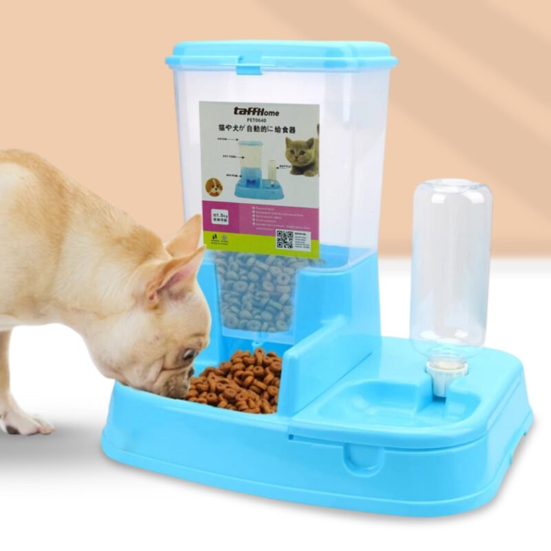 Tempat Makan Anjing Kucing