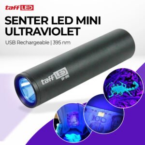 Senter LED Mini