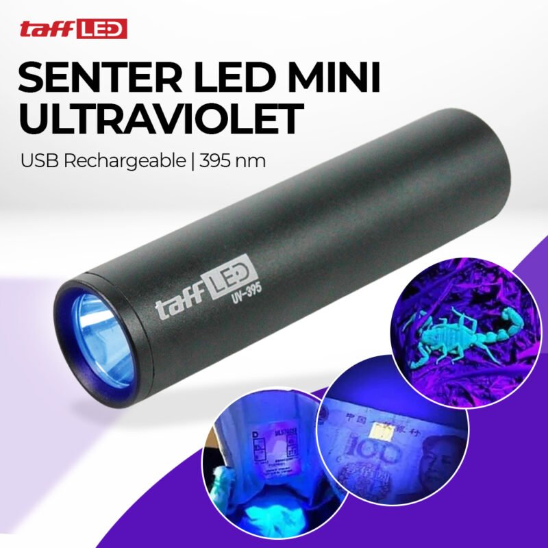 Senter LED Mini