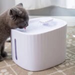 Tempat Minum Anjing Kucing