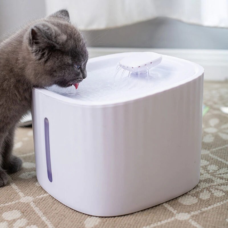 Tempat Minum Anjing Kucing