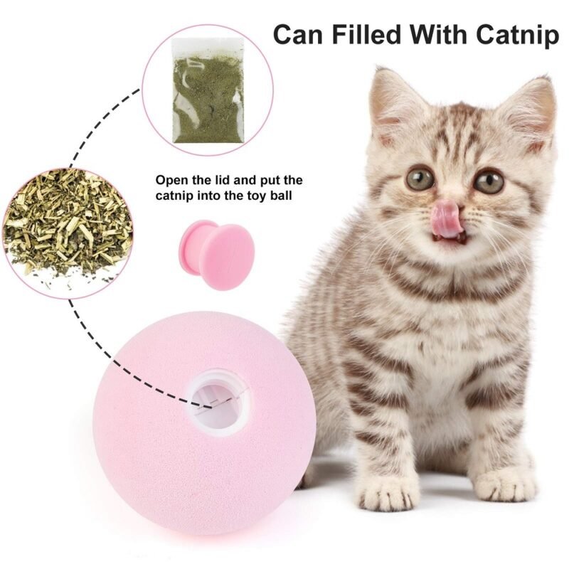 Mainan Kucing Catnip Ball