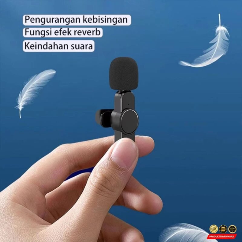 Mic