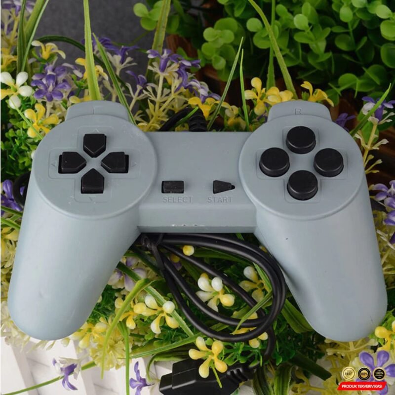 Nintendo