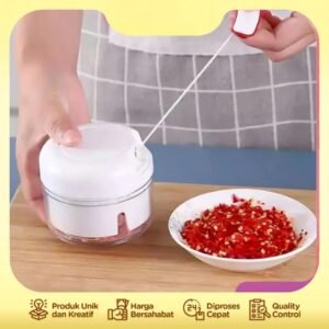Mini Chopper Manual
